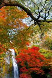 重生后我让校花保管所有准考证：全文+后续最新章节列表_重生后我让校花保管所有准考证：全文+后续全文+后续在线阅读在线最新全章节在线阅读全本在线阅读