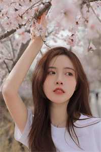 老公假装失忆，我直接假戏真做林晚晚秦宴庭免费阅读完整版在线