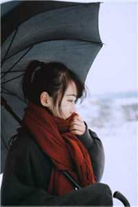 沈煜谢晚烟：+后续+结局沈煜谢晚烟全章节笔趣阁小说在线阅读