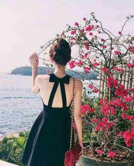 国之重器，我被故宫特招修文物林妙妙苏晚照最新章节阅读全文免费阅读