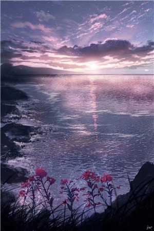 她逃他追玫瑰陷进疯批怀里：小说后续免费小说全文在线阅读听书全集在线阅读小说