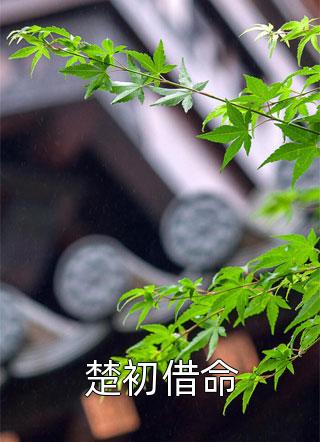 跑路当天，锦衣卫执意娶我完整阅读